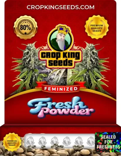 Fresh Powder Feminized