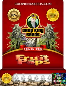 Fruit Pops Feminized