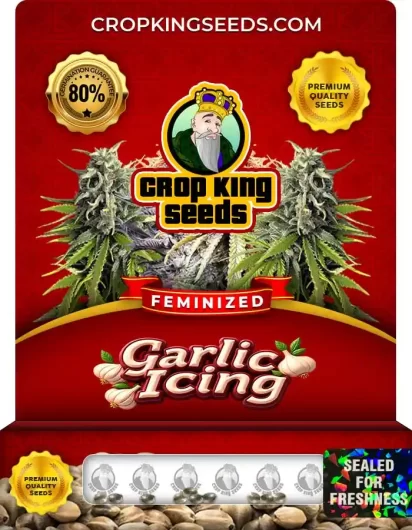 Garlic Icing Feminized