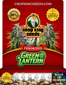 Green Lantern Feminized