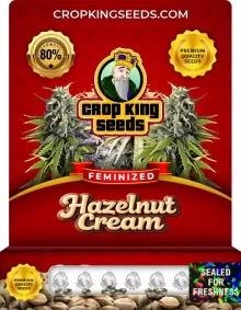 Hazelnut Cream Strain Feminized Marijuana Seeds