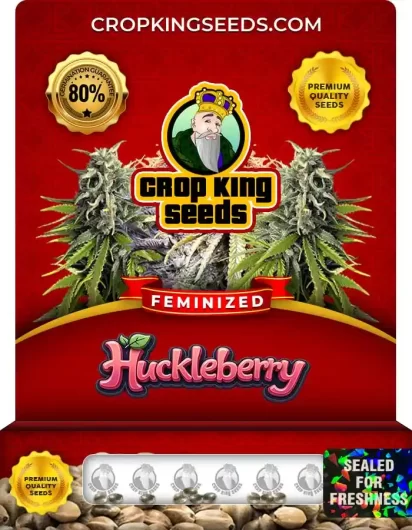 Huckleberry Feminized