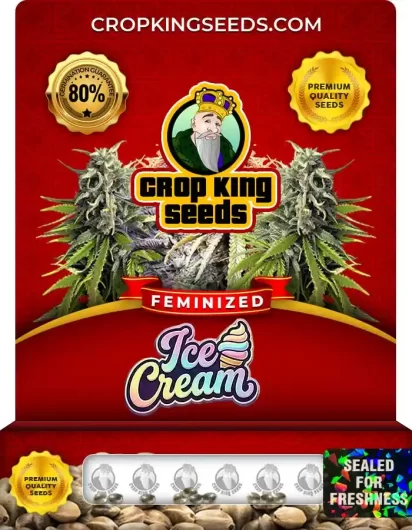 Ice Cream Feminized