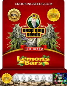 Lemon Bars Feminized