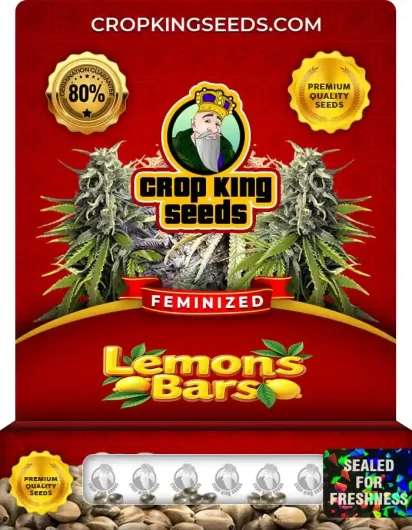 Lemon Bars Feminized