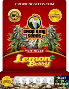 Lemon Berry Feminized