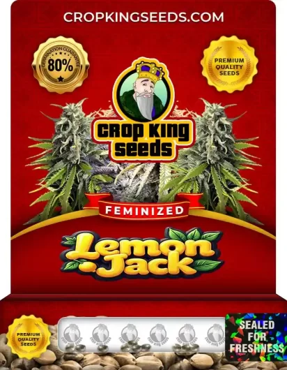 Lemon Jack Strain