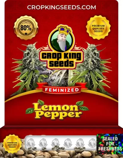Lemon Pepper Feminized
