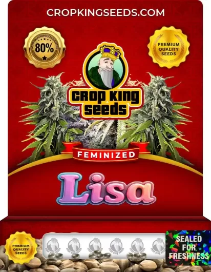 Lisa Feminized