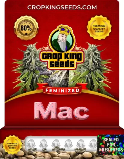 Mac Feminized