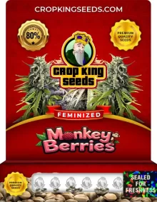 Monkey Berries Feminized