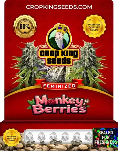 Monkey Berries Feminized
