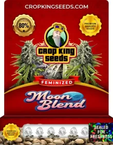 Moon Blend Feminized