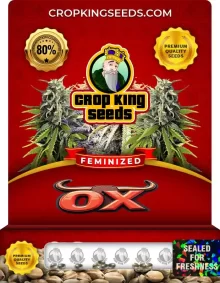 Ox Strain Feminized Marijuana Seeds