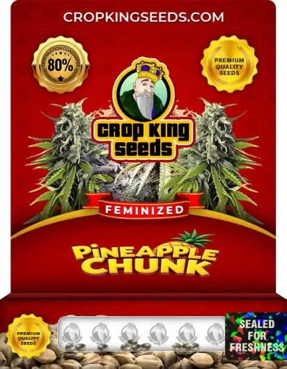 Pineapple Chunk Feminized