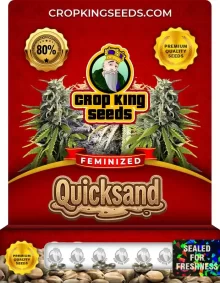 Quicksand Feminized
