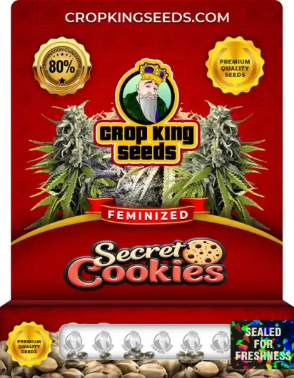 Secret Cookies Feminized