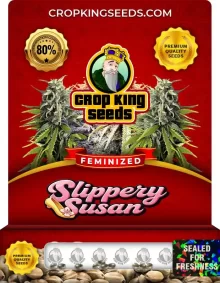 Slippery Susan Feminized