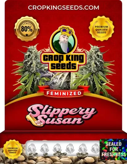 Slippery Susan Feminized