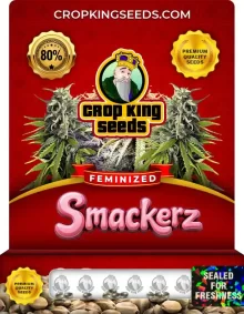 Smackerz Feminized