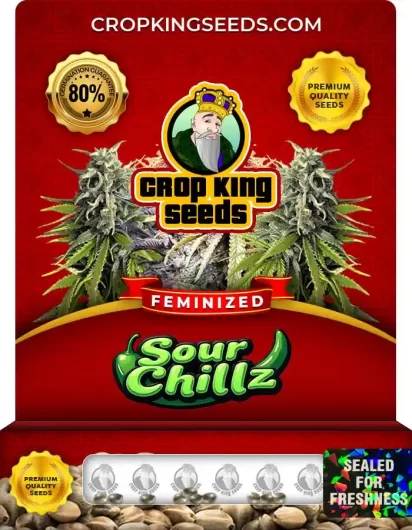 Sour Chillz Feminized