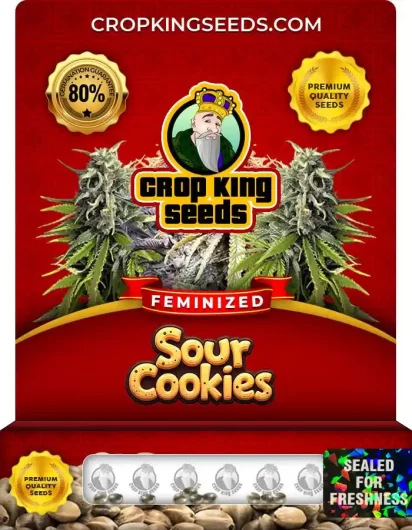 Sour Cookies Feminized