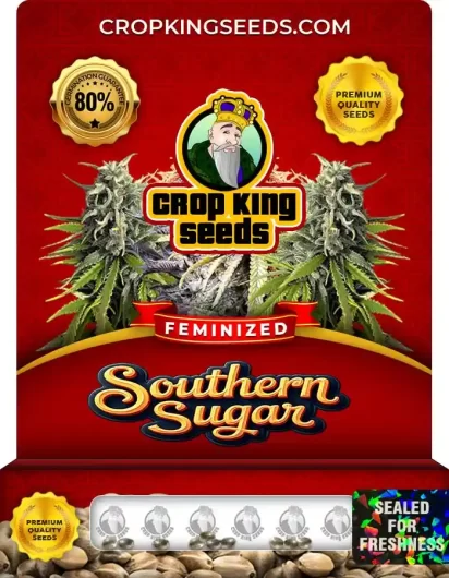 Southern Sugar Feminized