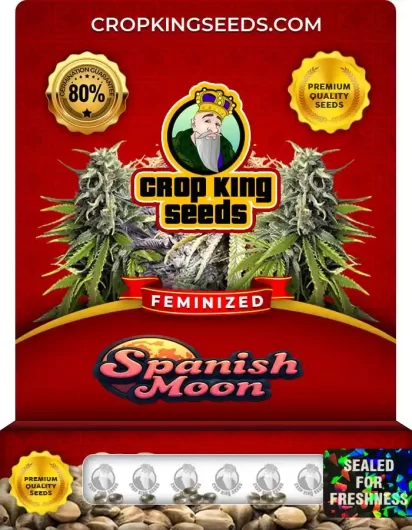 Spanish Moon Feminized