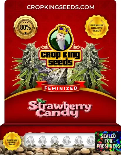 Strawberry Candy Feminized