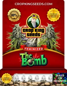 THC Bomb Feminized