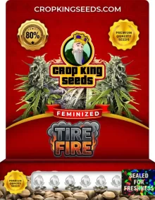 Tire Fire Feminized