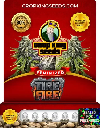 Tire Fire Feminized