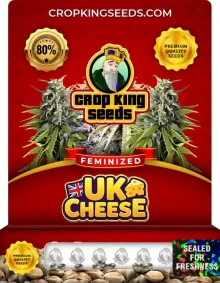 UK Cheese Feminized