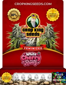 White Cherry Runtz Feminized
