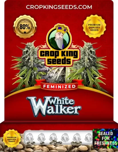 White Walker Feminized