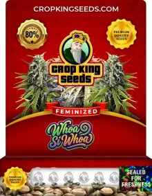 Whoa Si Whoa Feminized