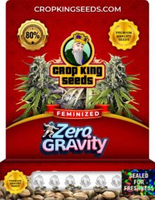 Zero Gravity Feminized