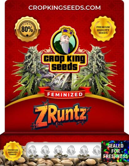 Zruntz Feminized