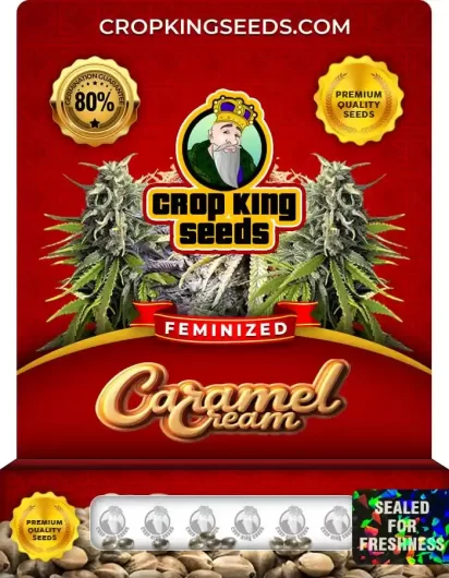 Caramel Cream Strain