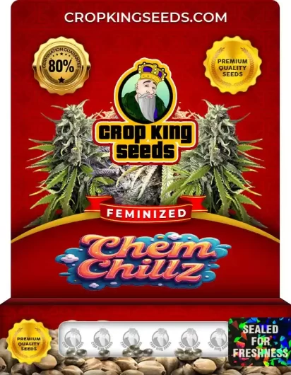 Chem Chillz Strain