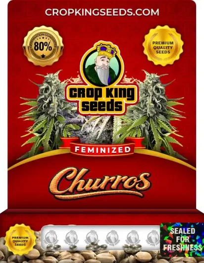 Churros Strain Feminized
