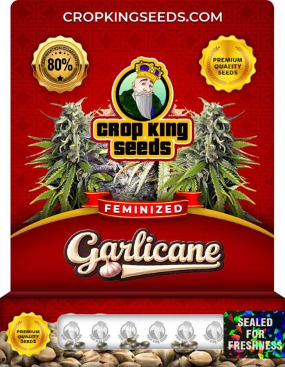 Garlicane Strain