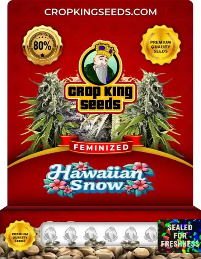 Hawaiian Snow Strain