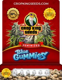 Blue Gummies Strain