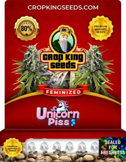 Unicorn Piss Strain