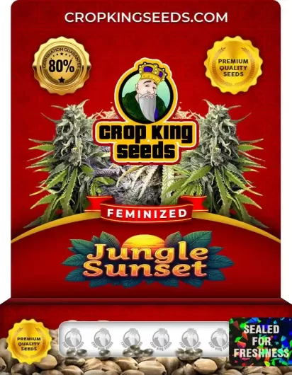 Jungle Sunset Strain