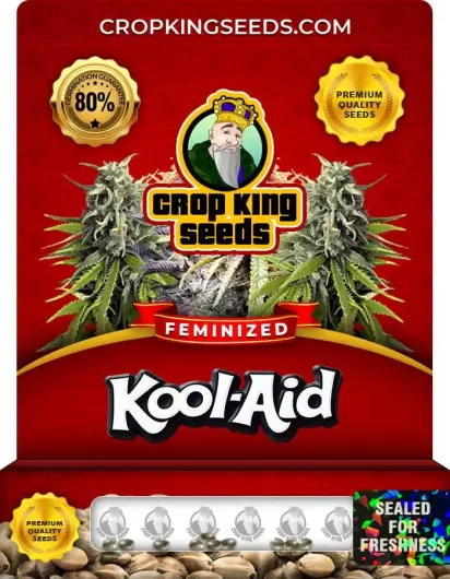 Kool Aid Strain
