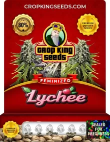 Lychee Strain