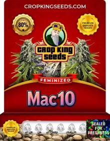MAC 10 Strain