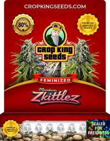 Mandarin Zkittlez Feminized Marijuana Seeds